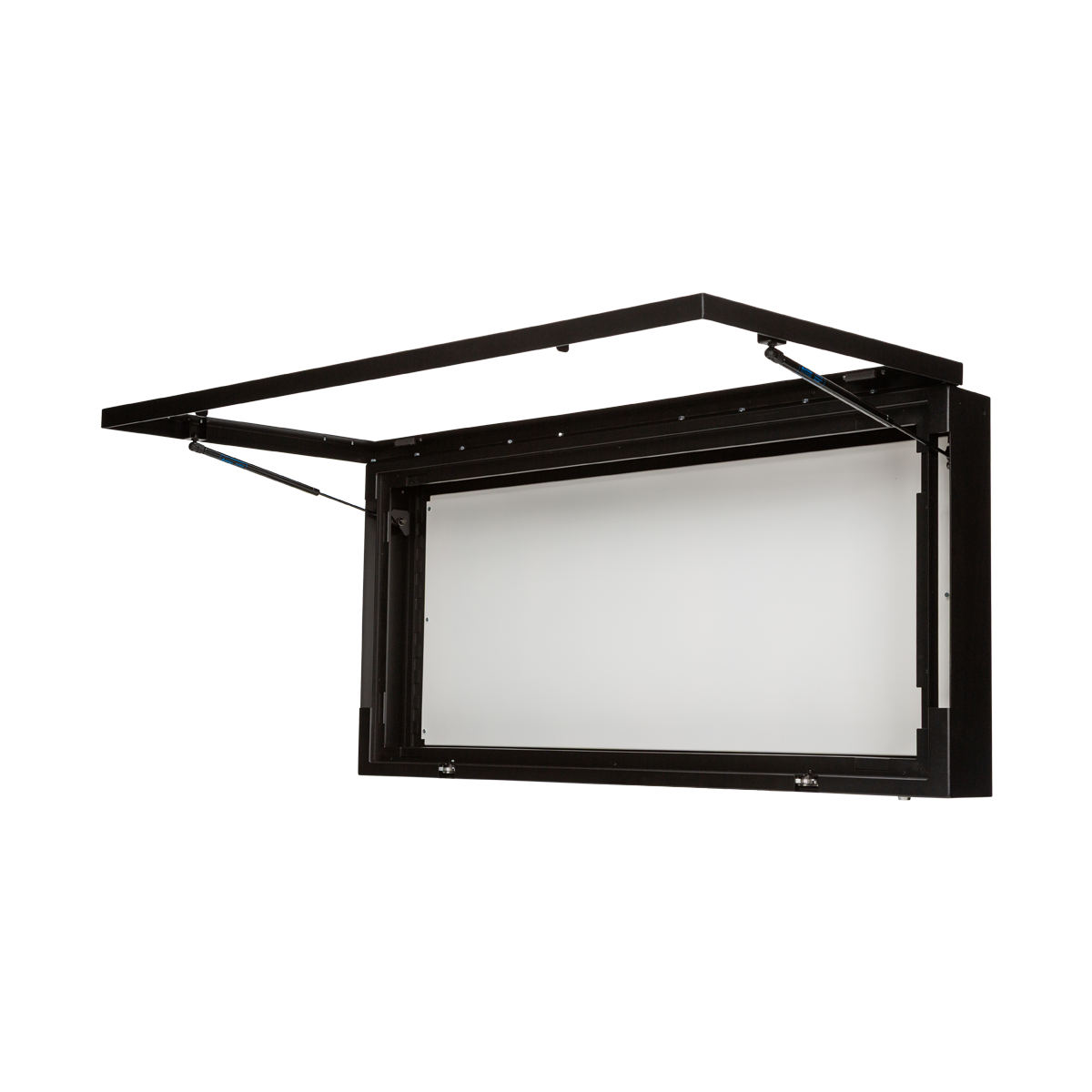 Large Secure Display Safe - Secure Display